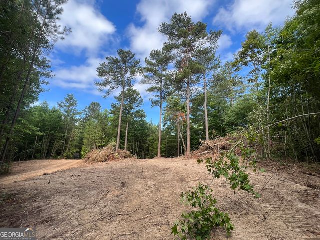 LOT 1 Gum Creek Airport Road 1, Roopville, GA 30170