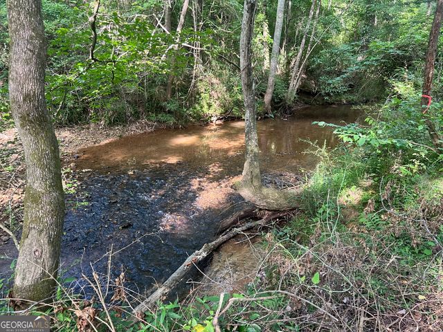 LOT 1 Gum Creek Airport Road 1, Roopville, GA 30170