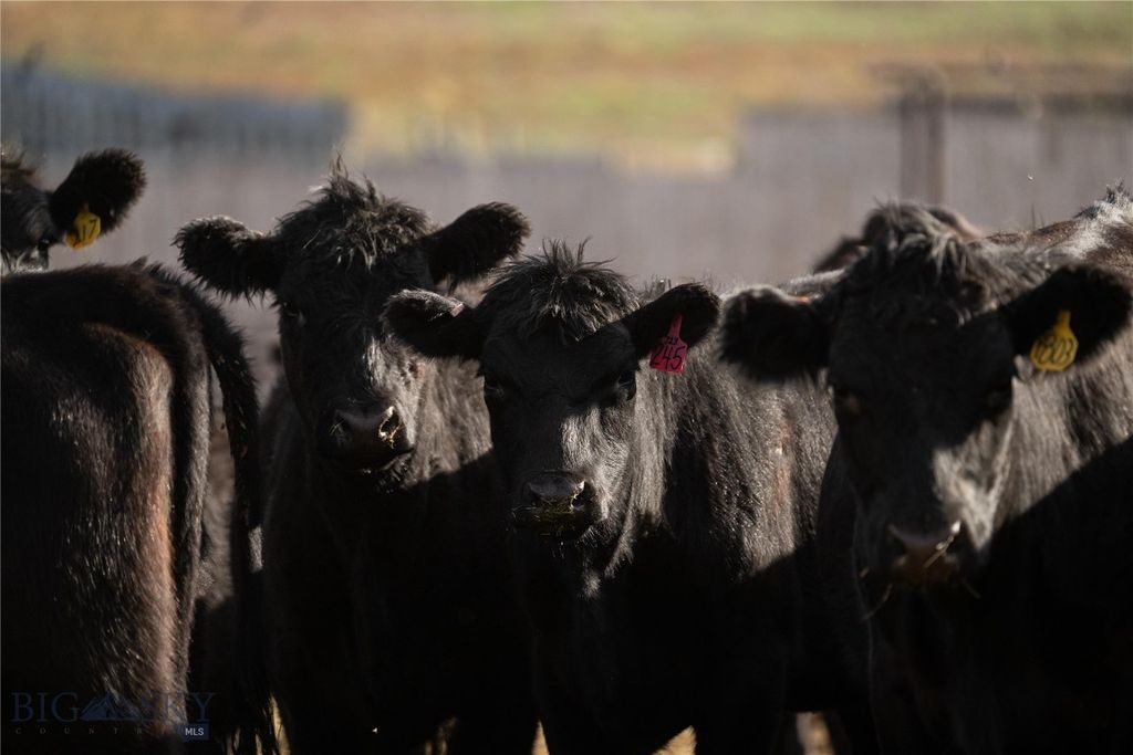 1120 Yellowstone Trail, Deer Lodge, MT 59722 photo 14