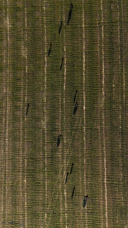 1120 Yellowstone Trail, Deer Lodge, MT 59722 photo 20