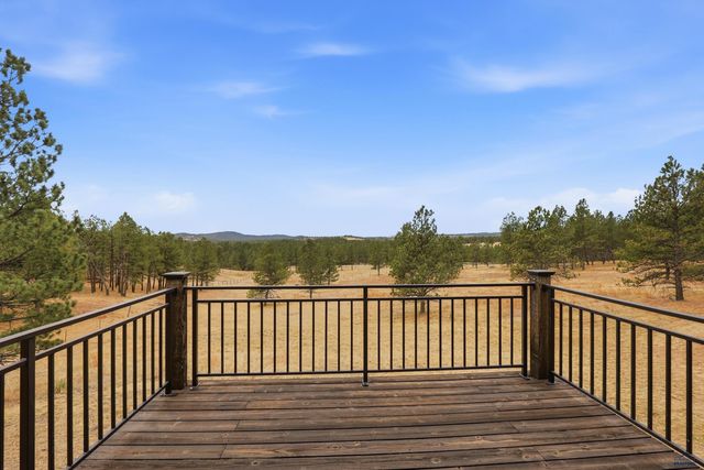 24716 TRIPLE M RANCH RD, Hermosa, SD 57744