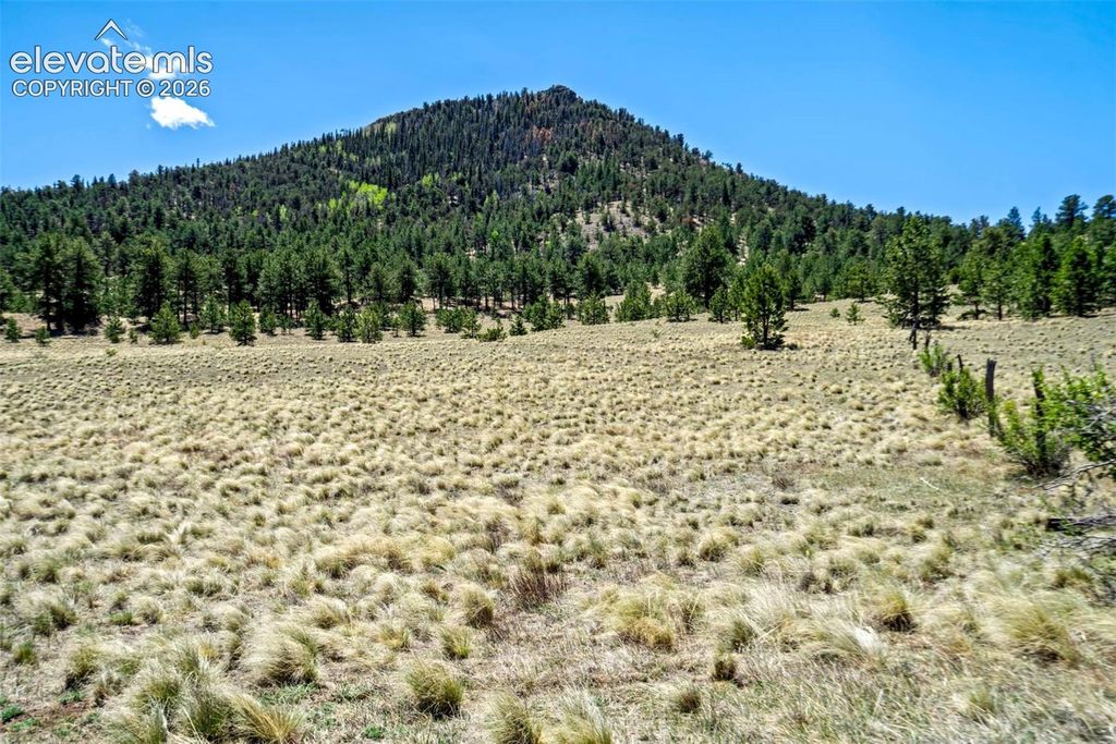 0 Roan Trail, Guffey, CO 80820 — photo 2