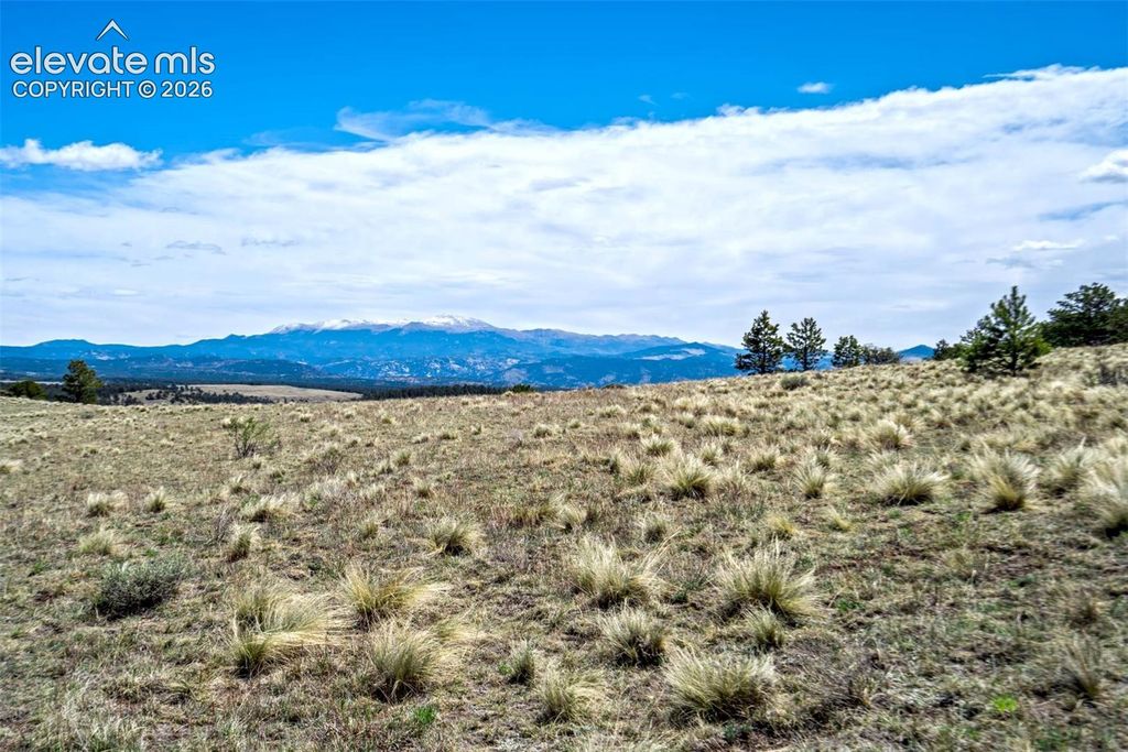 0 Roan Trail, Guffey, CO 80820 — photo 4