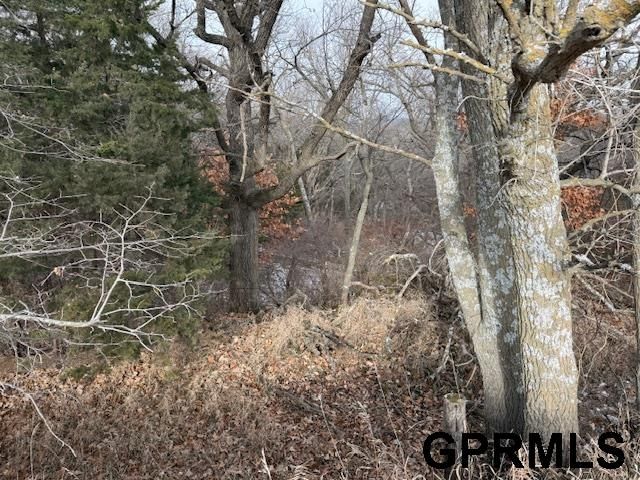 345 N 84 Street, Plattsmouth, NE 68048