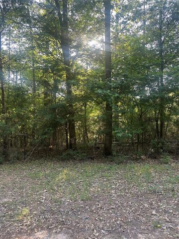 TBD Tall, Livingston, TX 77351