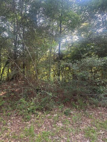 TBD Tall, Livingston, TX 77351