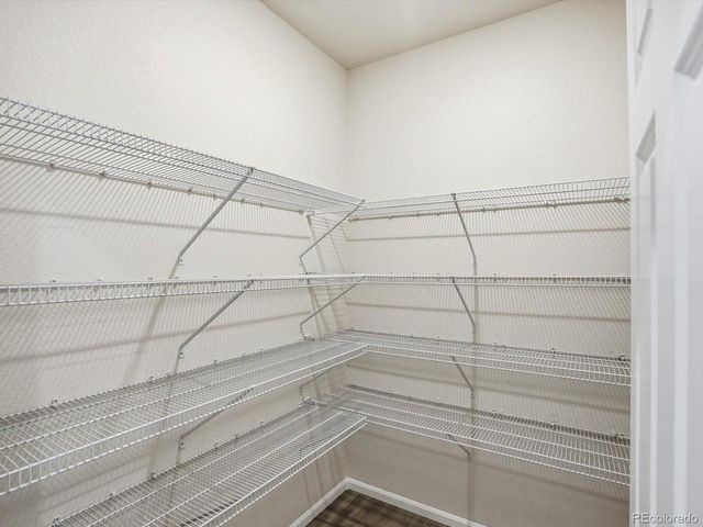 1216 Spring Creek Dr, Windsor, CO 80550