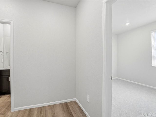 1216 Spring Creek Dr, Windsor, CO 80550