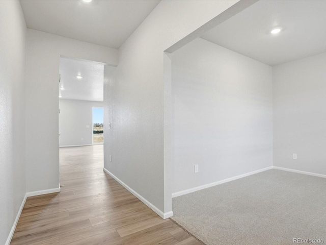 1216 Spring Creek Dr, Windsor, CO 80550