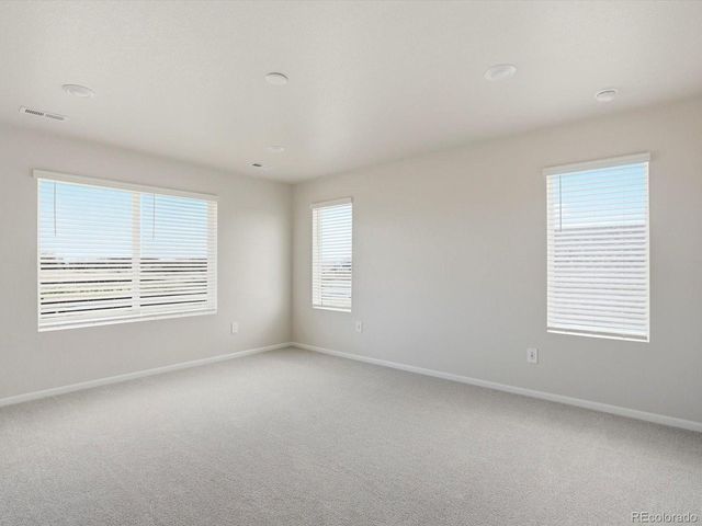 1216 Spring Creek Dr, Windsor, CO 80550