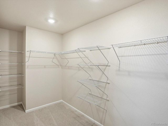 1216 Spring Creek Dr, Windsor, CO 80550