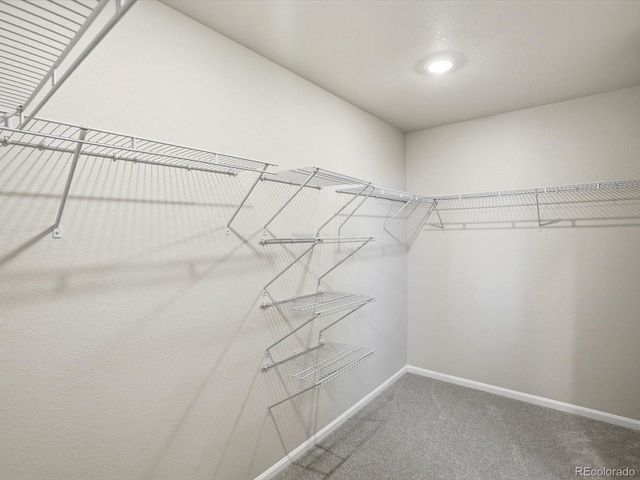 1216 Spring Creek Dr, Windsor, CO 80550