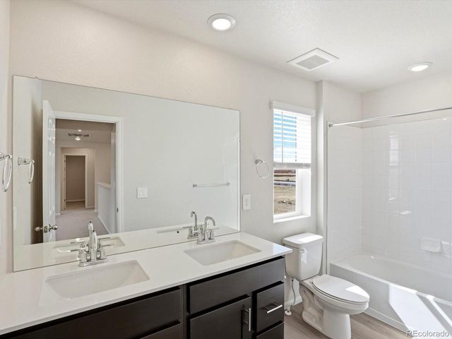 1216 Spring Creek Dr, Windsor, CO 80550