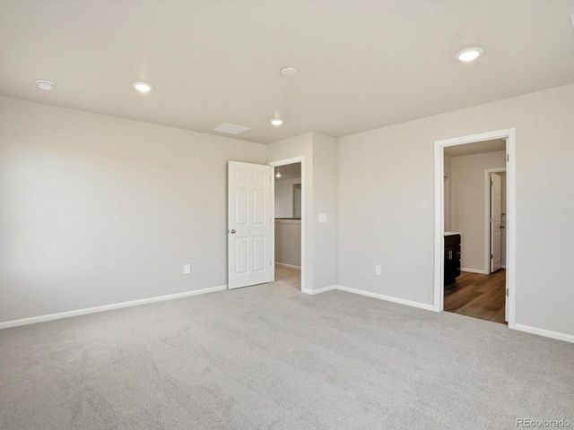 1216 Spring Creek Dr, Windsor, CO 80550