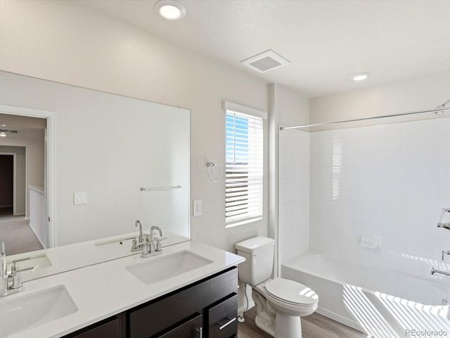 1216 Spring Creek Dr, Windsor, CO 80550