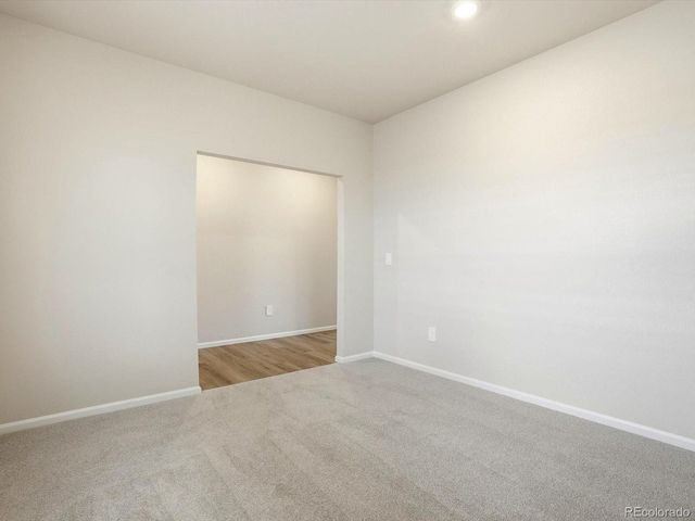 1216 Spring Creek Dr, Windsor, CO 80550