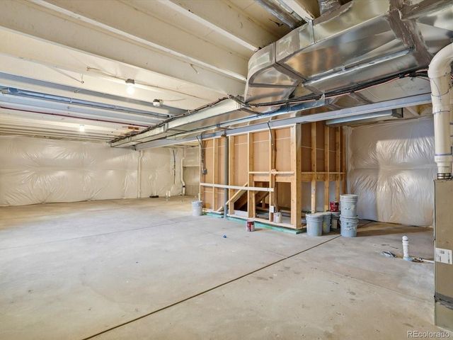 1216 Spring Creek Dr, Windsor, CO 80550