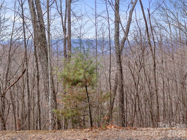 Lot 4 Heritage Ridge Loop, Burnsville, NC 28714