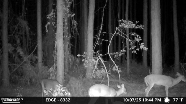 645 Bent Knee Road, Keysville, GA 30816