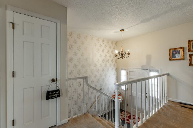 180 Dailey Hill Terrace, Ringgold, GA 30736