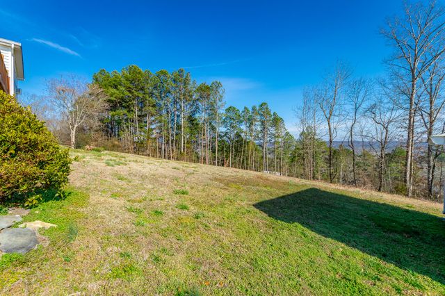 180 Dailey Hill Terrace, Ringgold, GA 30736