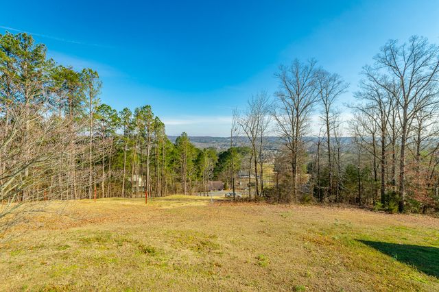 180 Dailey Hill Terrace, Ringgold, GA 30736