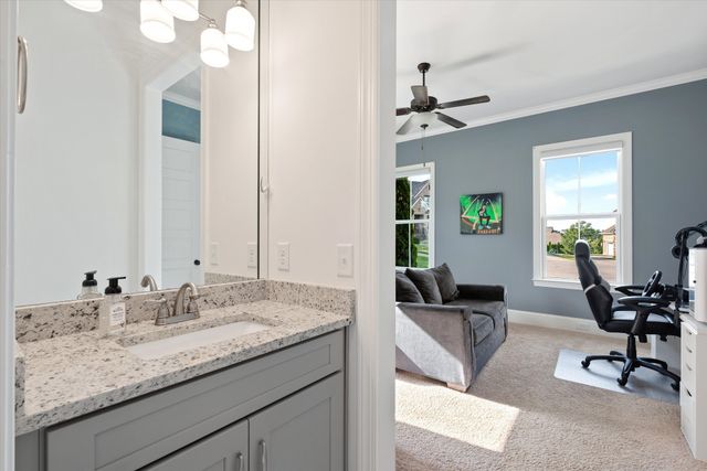 4011 Pinwheel Ct, Arrington, TN 37014