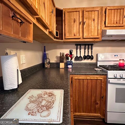 77 Hollow Log Path, Cleveland, GA 30528