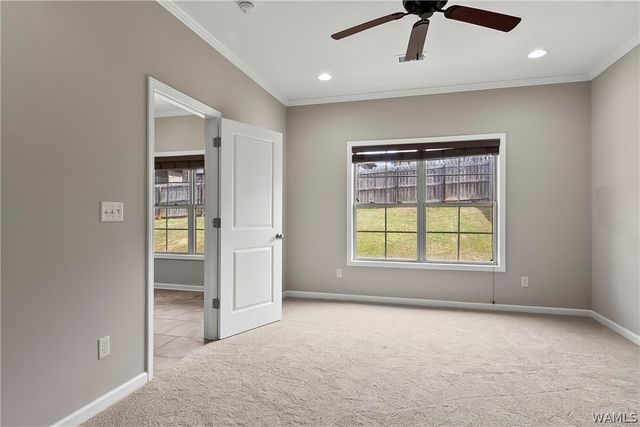 572 Camille, Tuscaloosa, AL 35405
