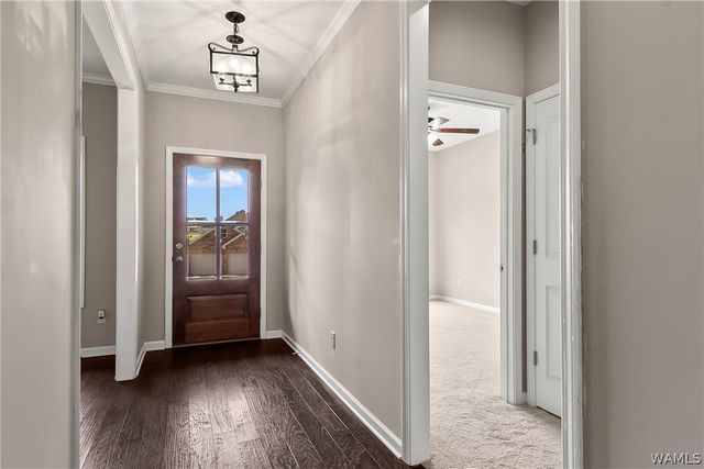 572 Camille, Tuscaloosa, AL 35405