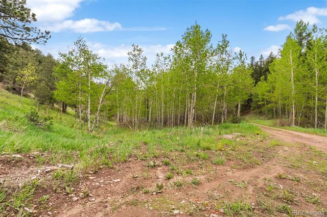 000 Spirit Horse Trail, Golden, CO 80403
