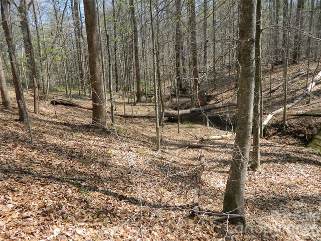 1329 Overlook Drive SW, Lenoir, NC 28645