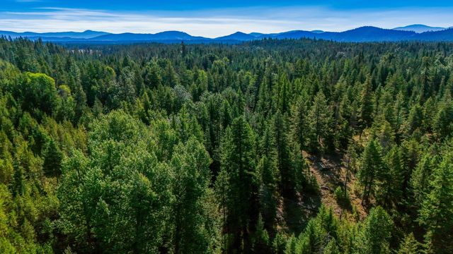 1770 Highway 211 Hwy, Newport, WA 99156