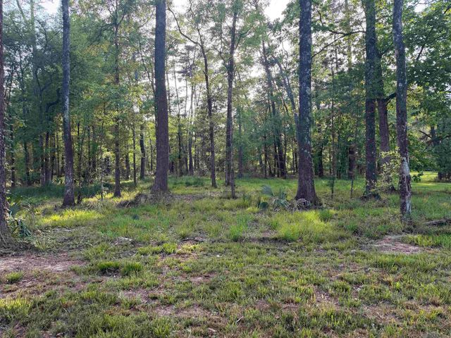 1-B-2-A-4 Clinton Allen Rd, Denham Springs, LA 70706