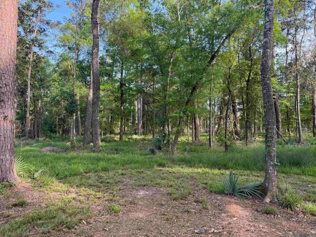 1-B-2-A-4 Clinton Allen Rd, Denham Springs, LA 70706