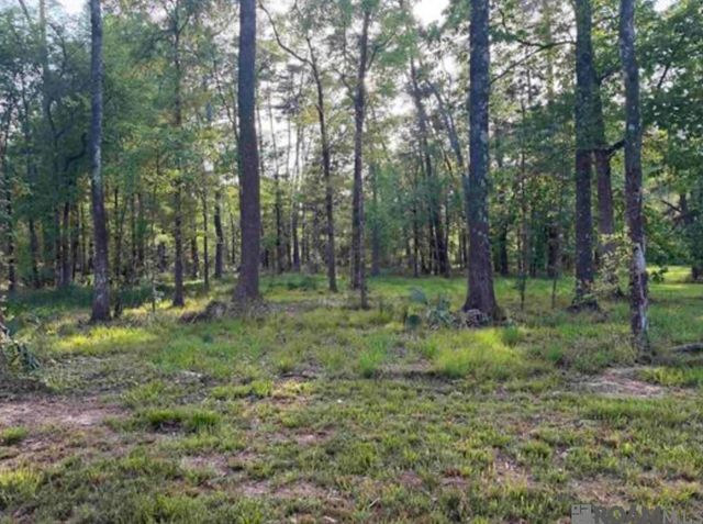 1-B-2-A-4 Clinton Allen Rd, Denham Springs, LA 70706