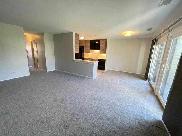 96 Marble Hill Court C2, Schaumburg, IL 60193