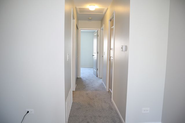 96 Marble Hill Court C2, Schaumburg, IL 60193