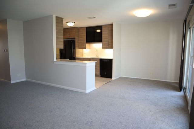 96 Marble Hill Court C2, Schaumburg, IL 60193