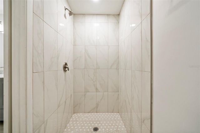 10403 LAKE CARROLL WAY, Tampa, FL 33618