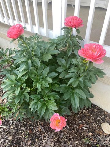 109 Paradise Circle, Clyde, NC 28721