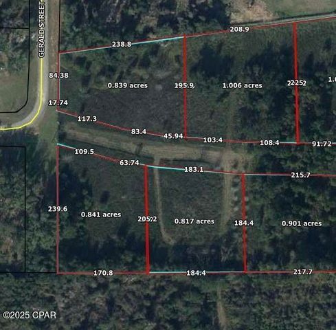 0000 Gerald Street, Sneads, FL 32460