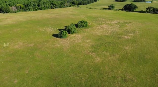 15223 CR 188, Bullard, TX 75757