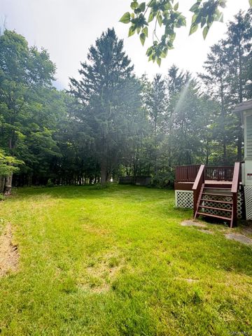 35 Starr Avenue, Monticello, NY 12701