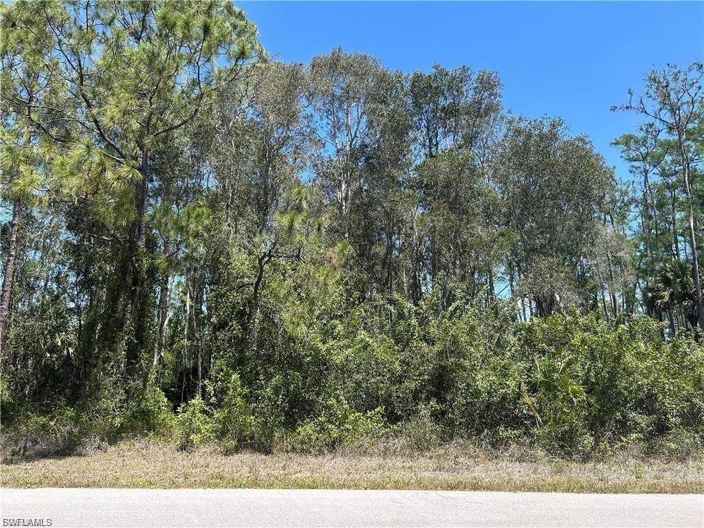 665 Knapp ST, LEHIGH ACRES, FL 33974 — exterior