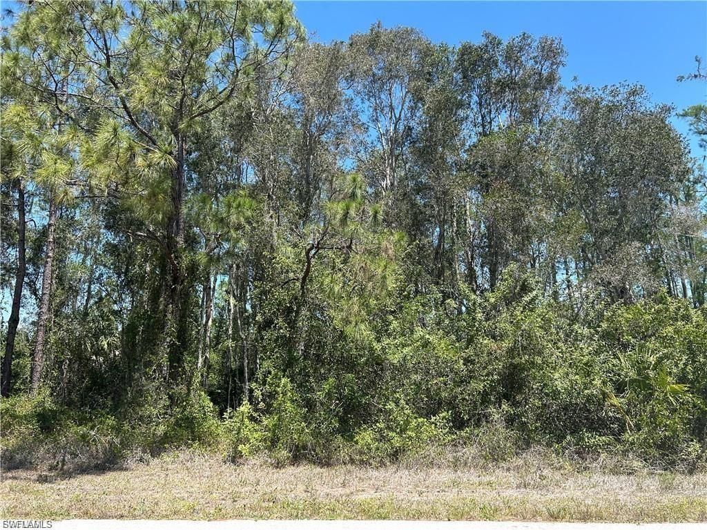 665 Knapp ST, LEHIGH ACRES, FL 33974 — photo 4