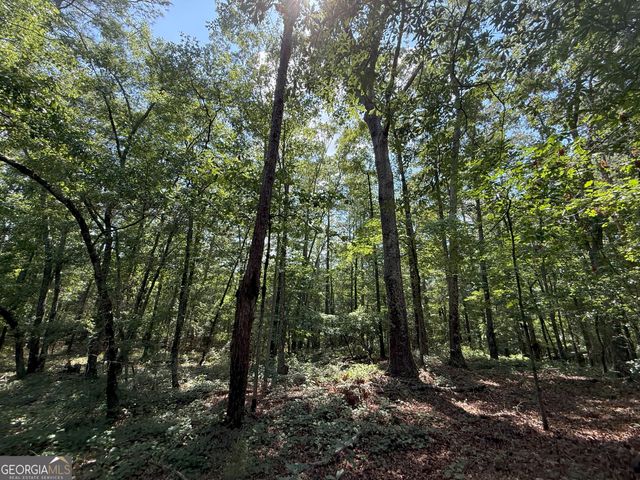 1460 Corley Road, Snellville, GA 30039