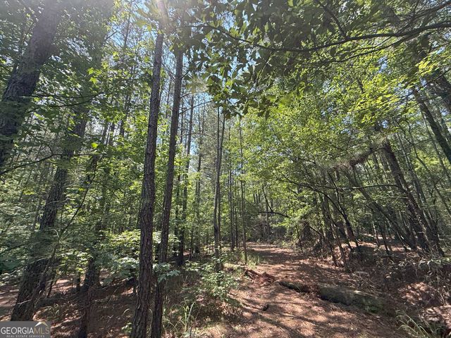 1460 Corley Road, Snellville, GA 30039