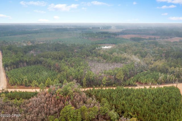XXX White Road 12.78 Acres, Chipley, FL 32428