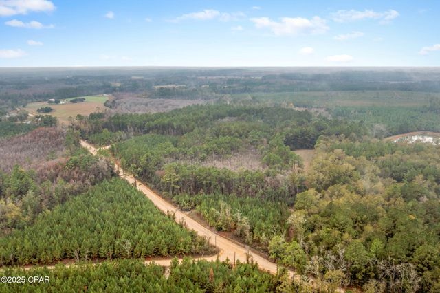 XXX White Road 12.78 Acres, Chipley, FL 32428